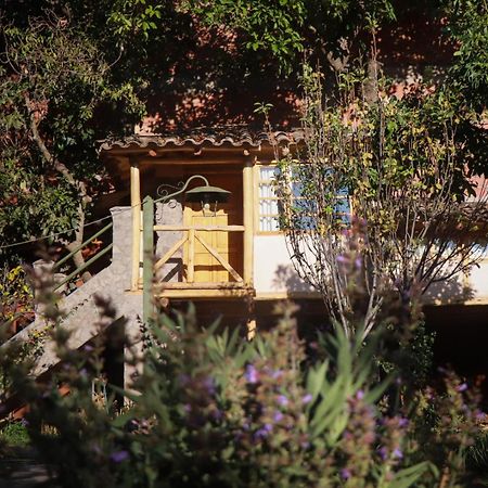 Casa De Aida Daire Calca Dış mekan fotoğraf