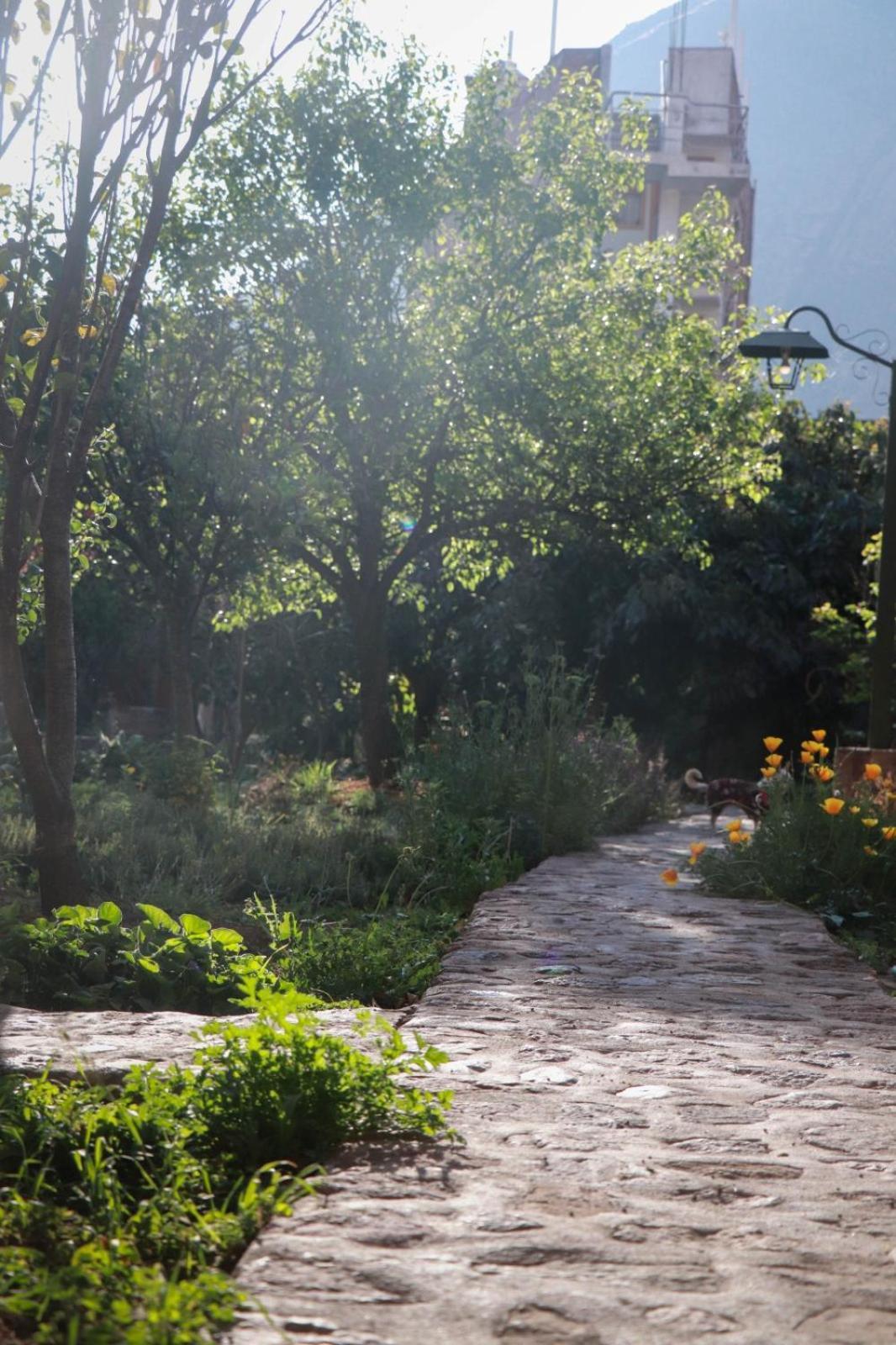 Casa De Aida Daire Calca Dış mekan fotoğraf