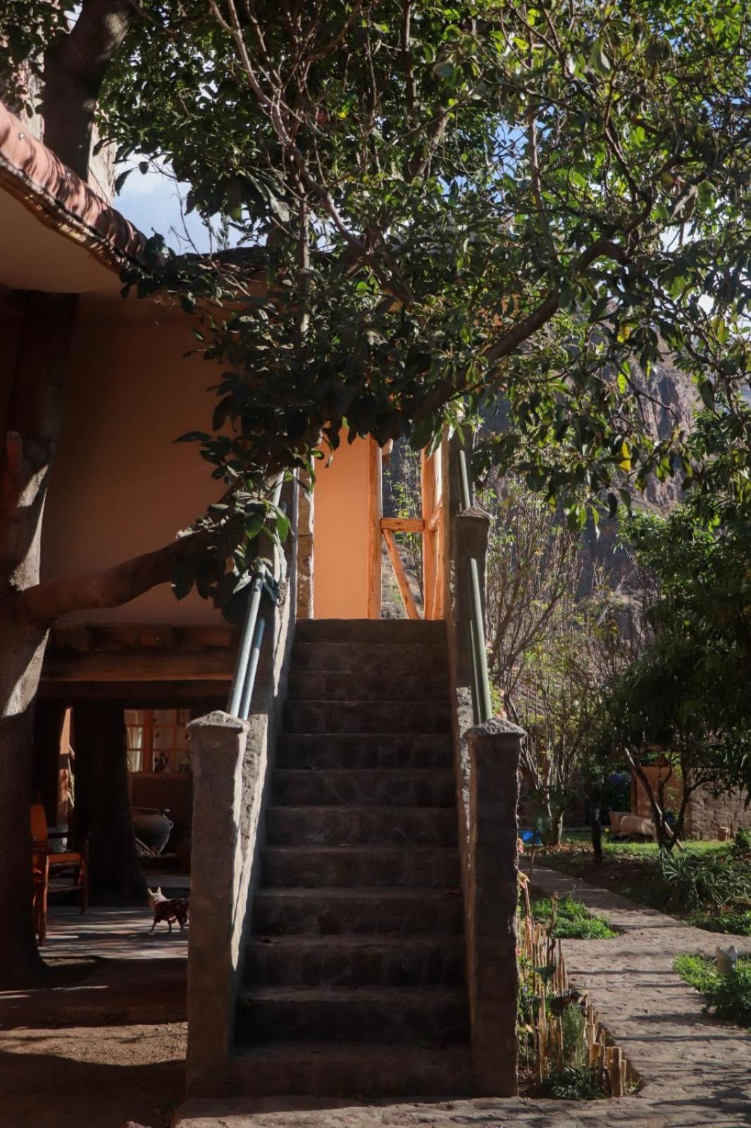Casa De Aida Daire Calca Dış mekan fotoğraf