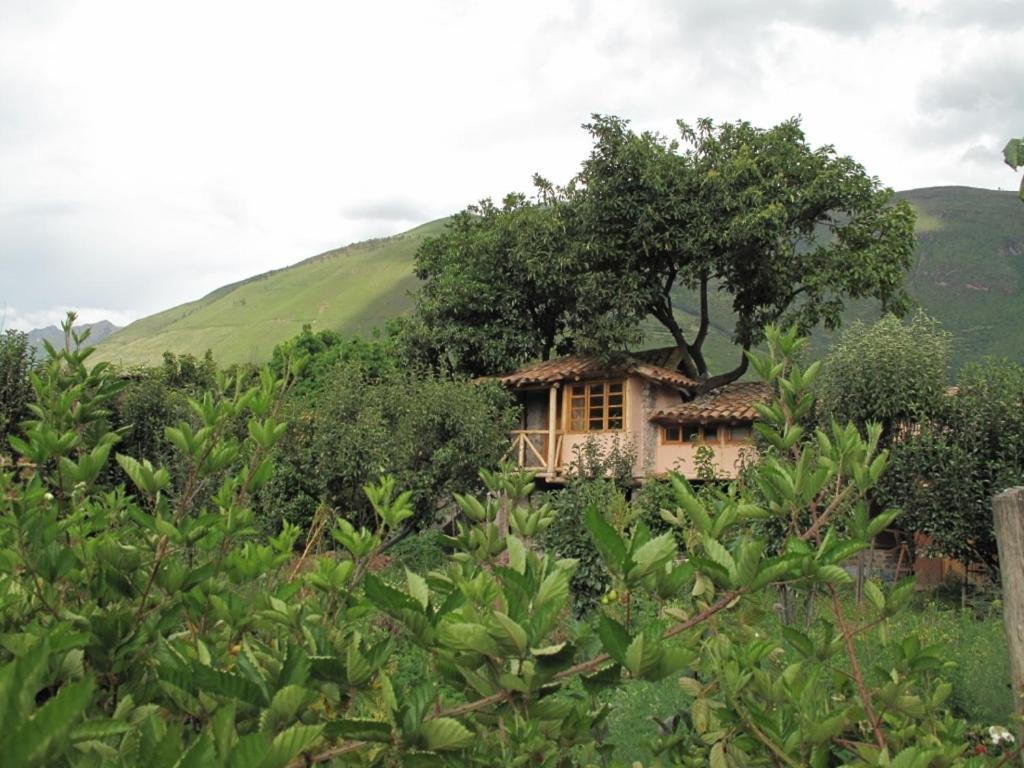 Casa De Aida Daire Calca Dış mekan fotoğraf