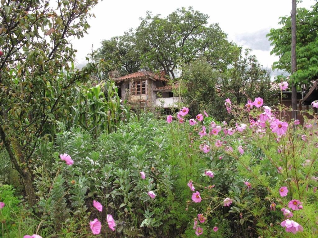 Casa De Aida Daire Calca Dış mekan fotoğraf