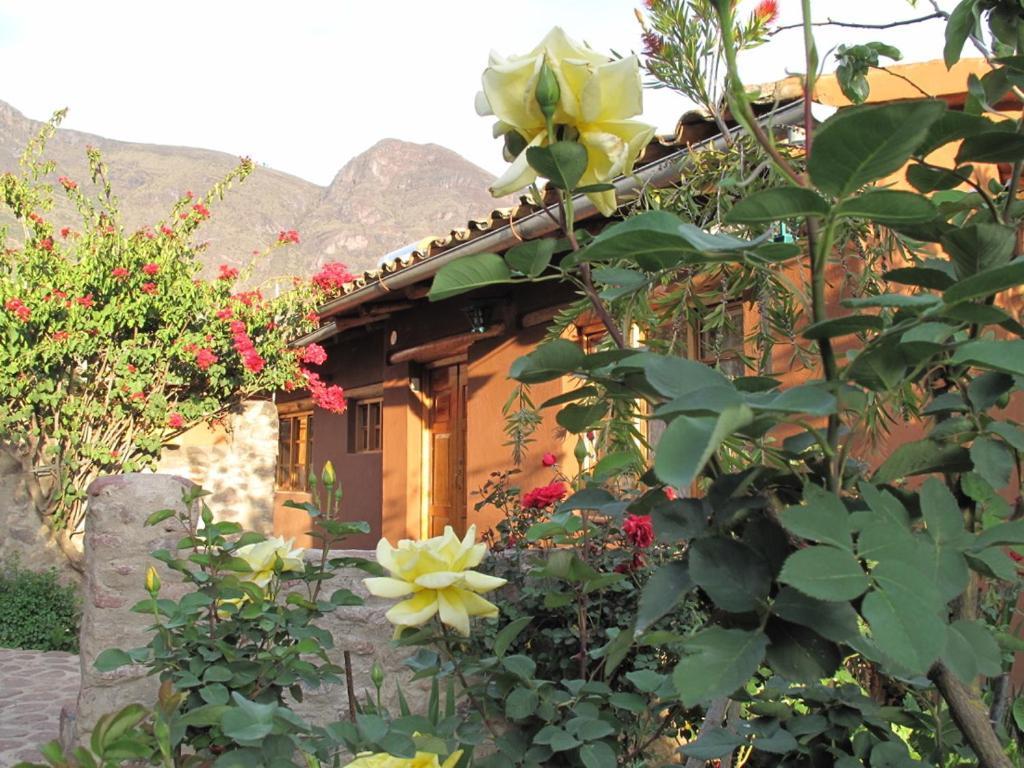 Casa De Aida Daire Calca Dış mekan fotoğraf
