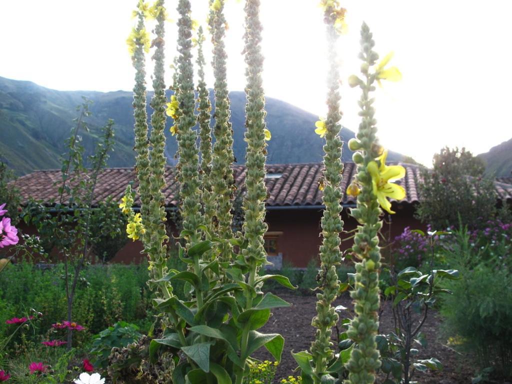 Casa De Aida Daire Calca Dış mekan fotoğraf
