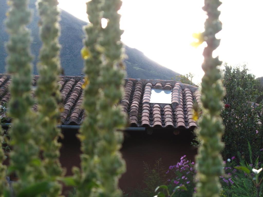 Casa De Aida Daire Calca Dış mekan fotoğraf