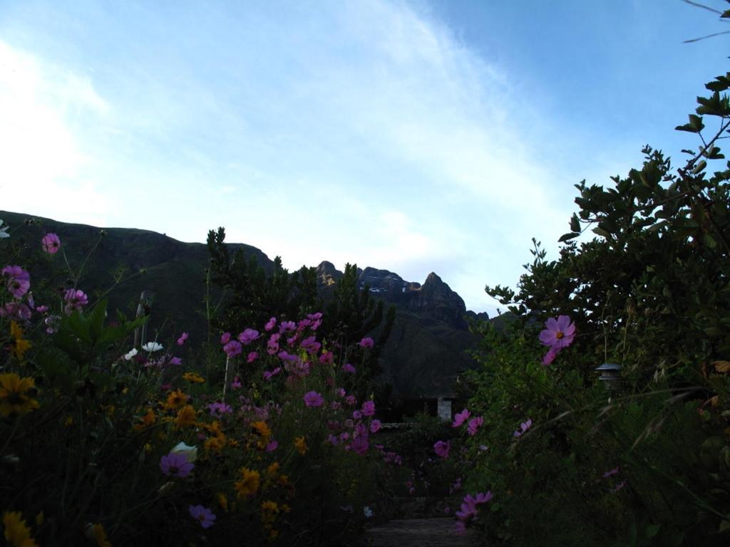 Casa De Aida Daire Calca Dış mekan fotoğraf
