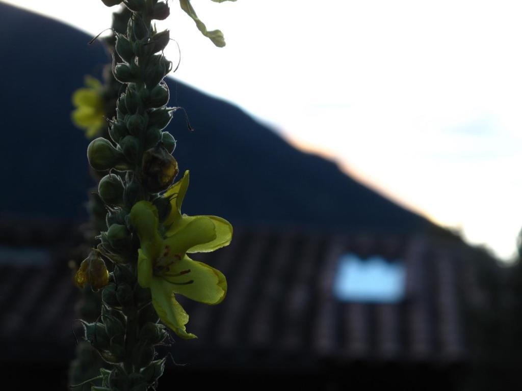 Casa De Aida Daire Calca Dış mekan fotoğraf