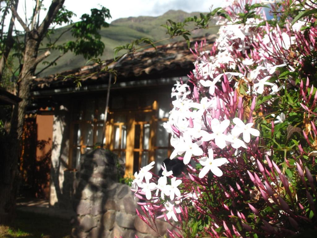 Casa De Aida Daire Calca Dış mekan fotoğraf