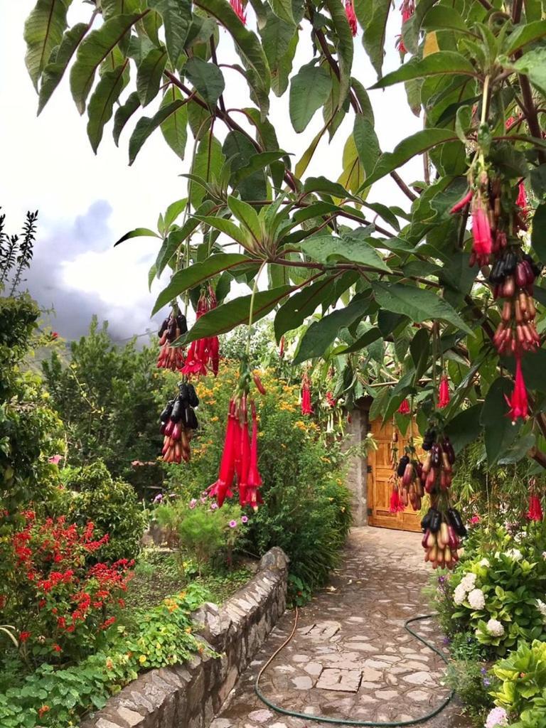 Casa De Aida Daire Calca Dış mekan fotoğraf