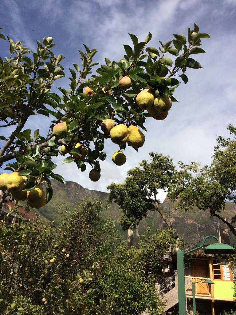 Casa De Aida Daire Calca Dış mekan fotoğraf